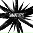 Amatory