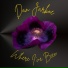 Dan Jarboe