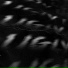 ansshennt.01