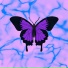 MENDI tr, G. ALESSANDRO, Exhodia