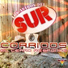 Los Astros Del Sur