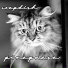 Soapdish