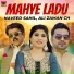 Naveed Sahil, Ali Zaman Ch