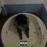 PH Prince feat. Phwsz