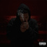 Xavier Wulf