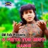 Subal Sarkar