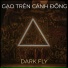 Dark Fly