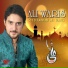 Farhan Ali Waris