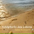 Sabine Bevendorff