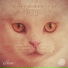 DeeP HousE Live