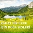 Diler Ebeperi
