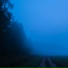 lonelyfeels