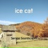 Serene Soundscapes
