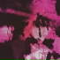 ximora feat. dekma