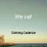 Calming Cadence