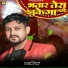 DK Bulbul, Sristi Bharti