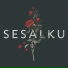 Sagita Project
