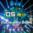 DS Revo