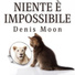 Denis Moon