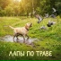 VASYA MUSIC