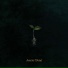 Aeldergeyst