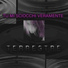 Terrestre