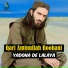 Qari Aminullah Roohani