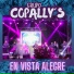 Grupo Copally's
