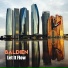Baldien