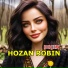 Hozan Robin