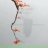轻松音乐