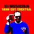 DJ Musician