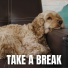 The Sleepy Sounds
