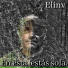 Elinv