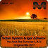 Igor Zaharov & Sober System