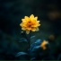 Dreamer