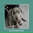 Dog Chill Out Music