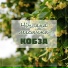 Кобза