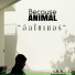 Because Animal