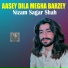 Nizam Sagar Shah