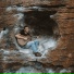 Wade Matthew