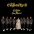 Grupo Copally's