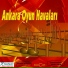 Harbi Enver