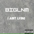 BIGLNM