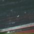 Aleks