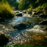 Elaris, Nature Sounds