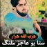 Hizbullah Ahrar