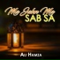 Ali Hamza