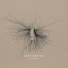 Joep Beving, Sonderling Quartet