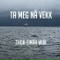Thor-Einar Wiik